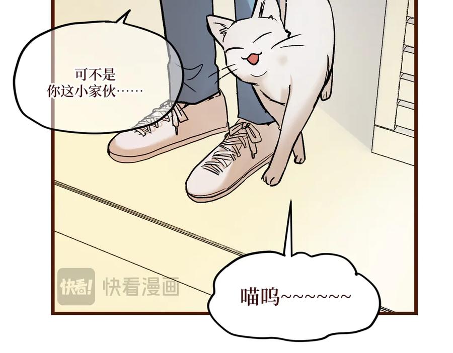 第231页