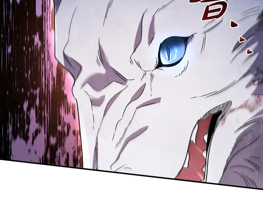 第215页