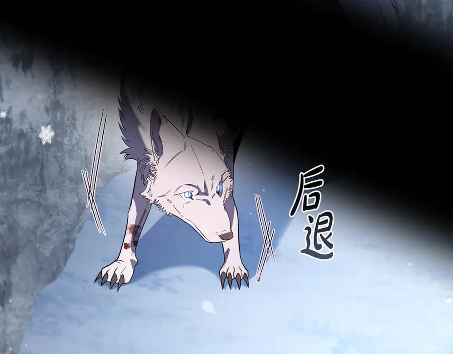 第223页