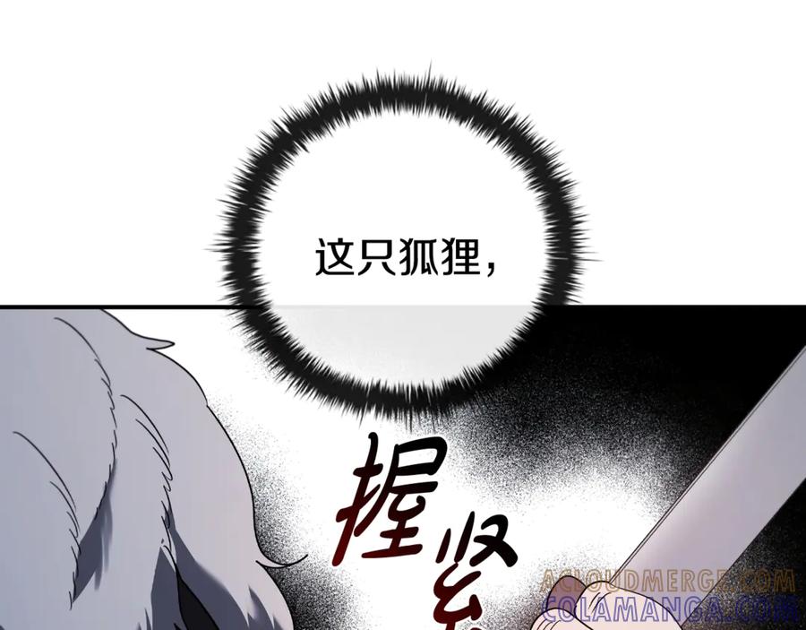 第241页