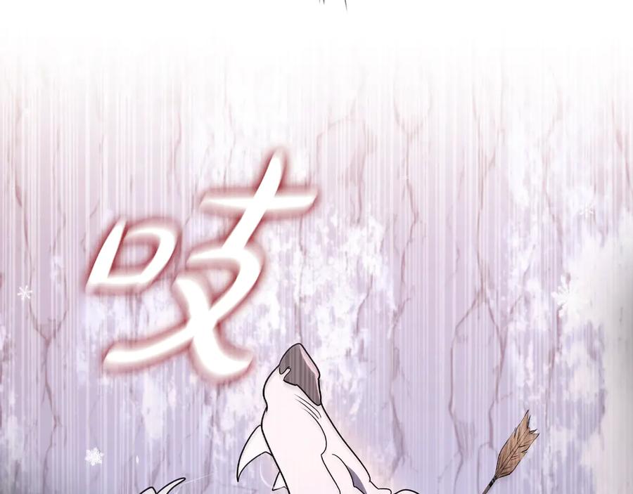 第244页