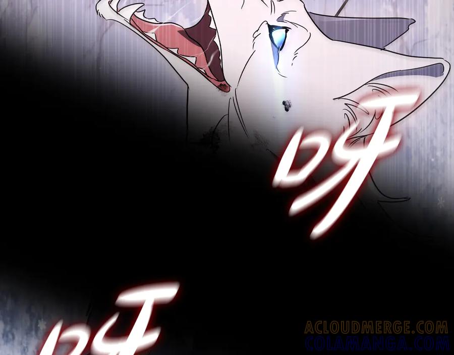 第245页