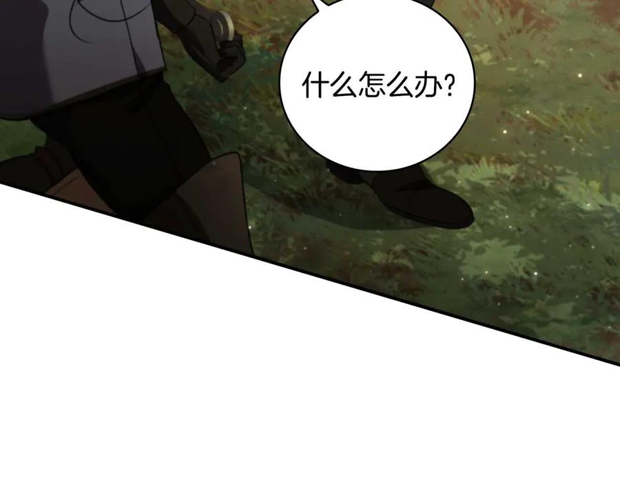 第255页