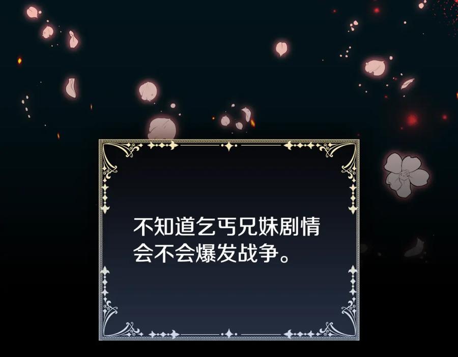第204页