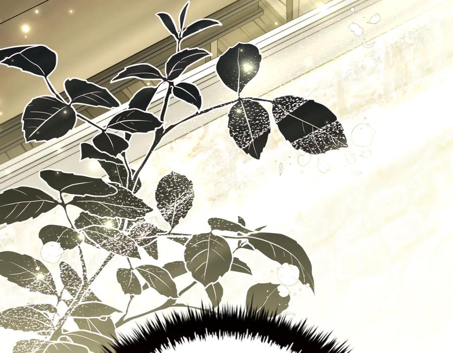 第214页
