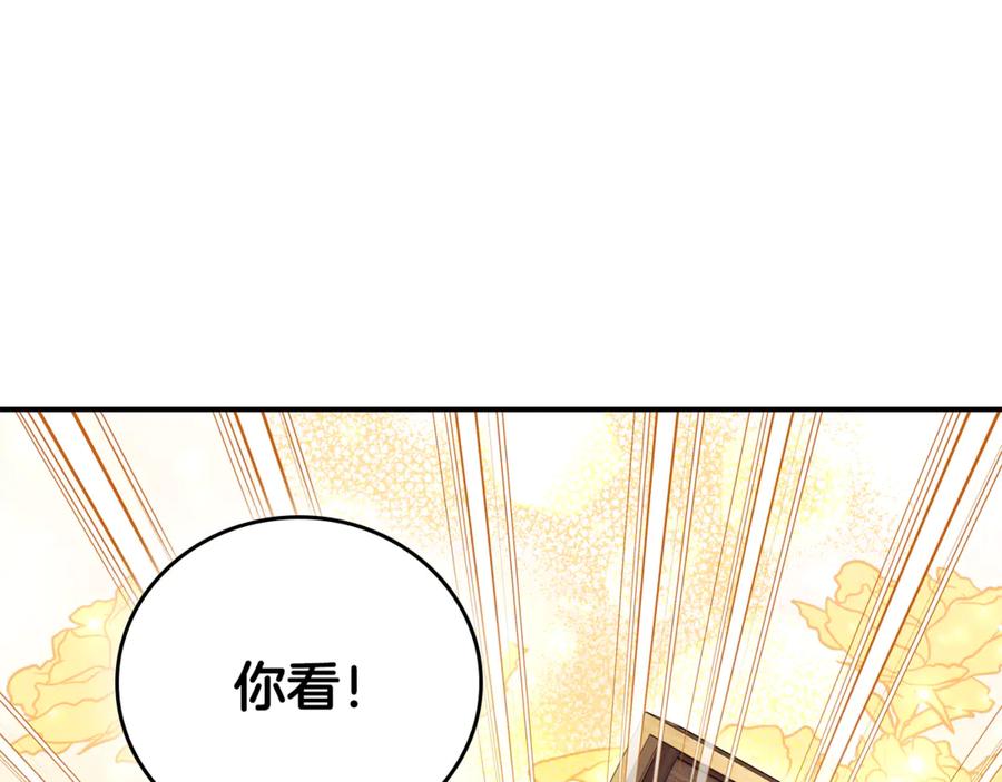 第224页