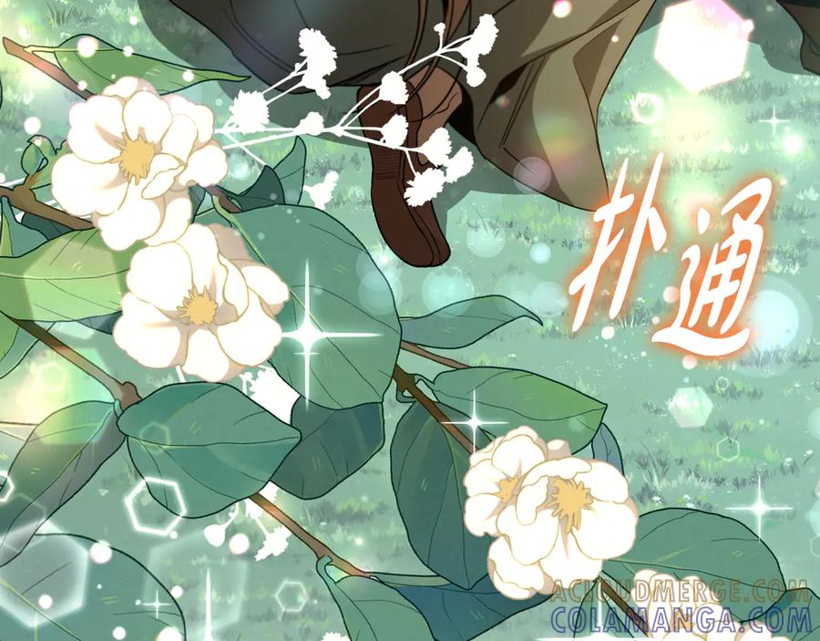 第221页
