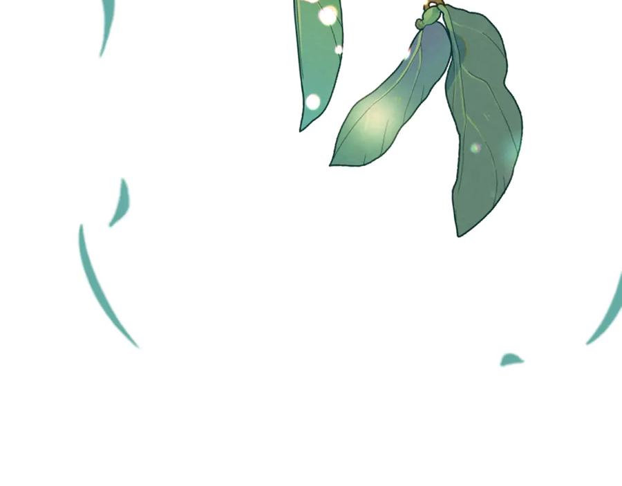 第223页
