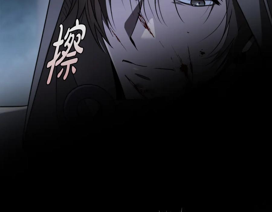 第223页