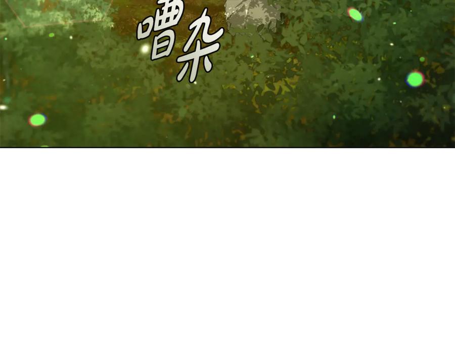 第243页