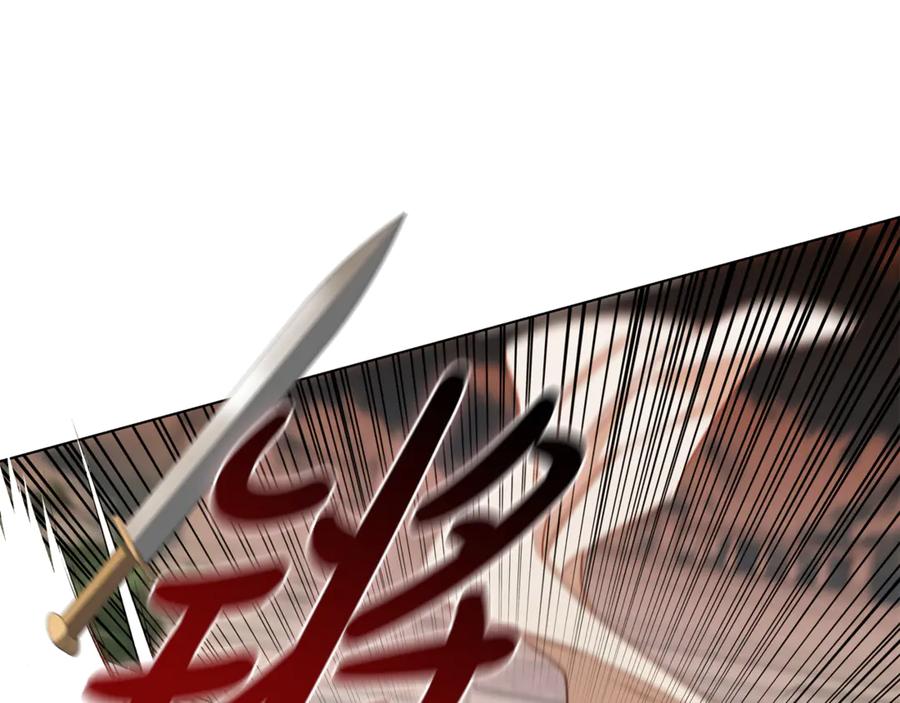 第204页