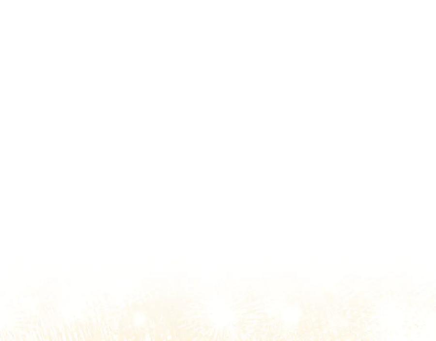 第242页