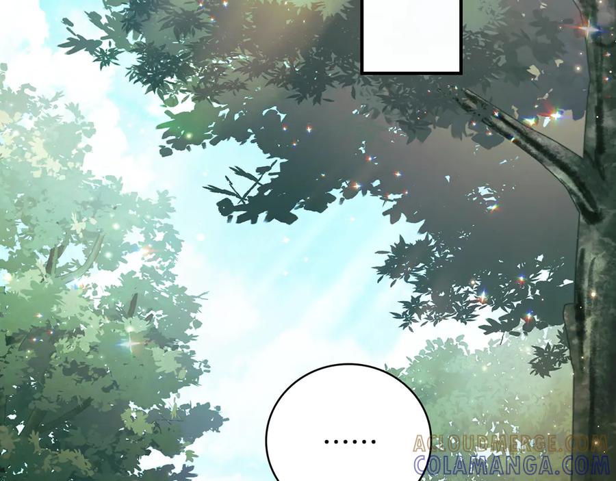 第233页