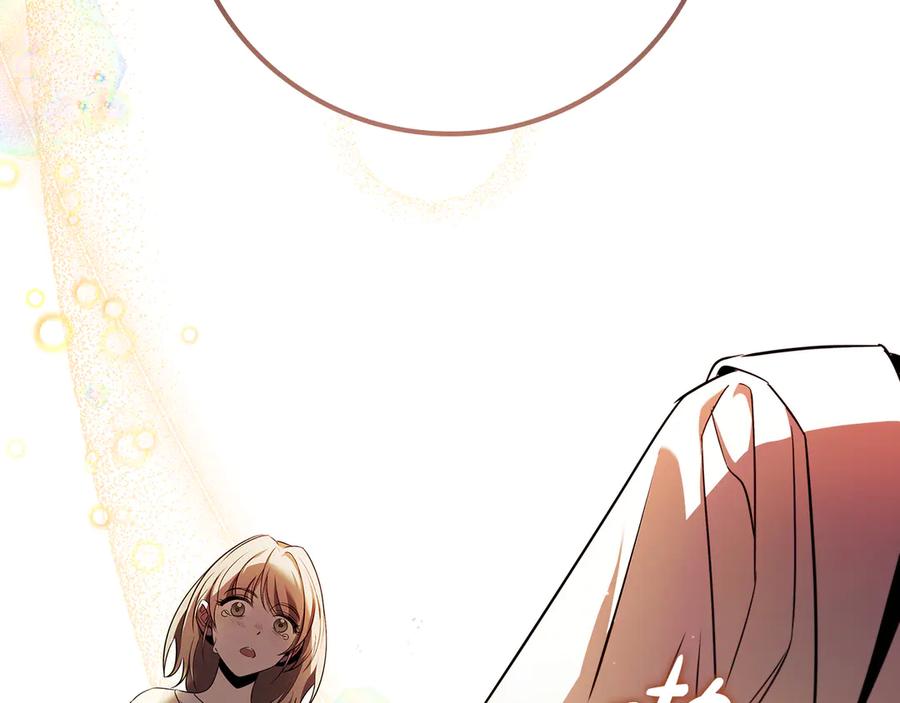 第242页