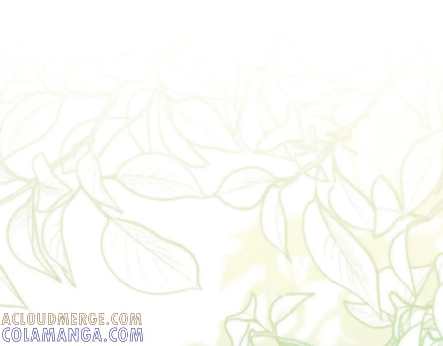 第277页
