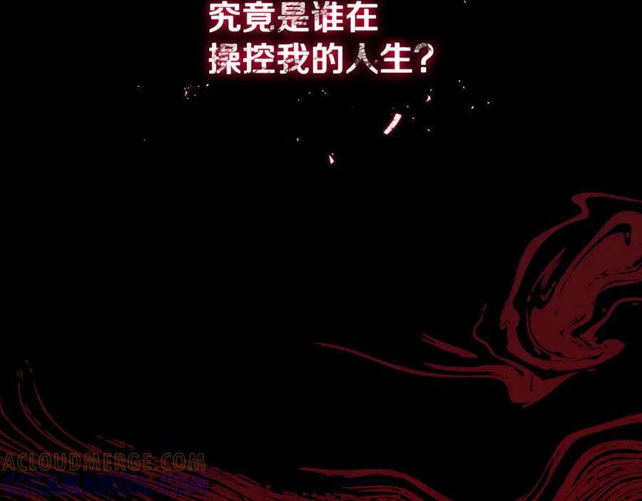 第217页