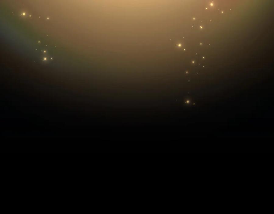 第191页