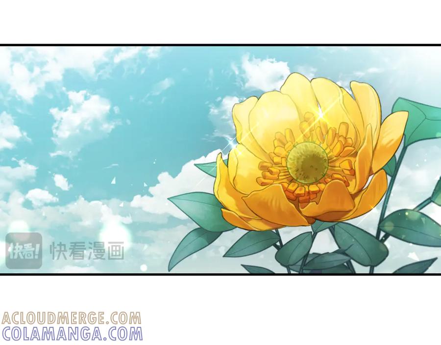 第205页