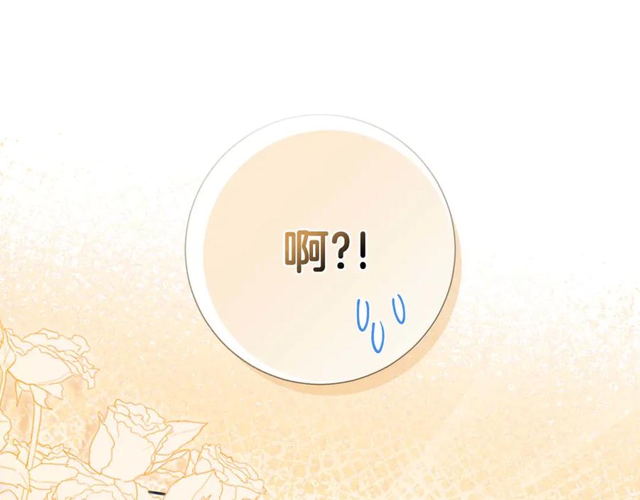 第240页