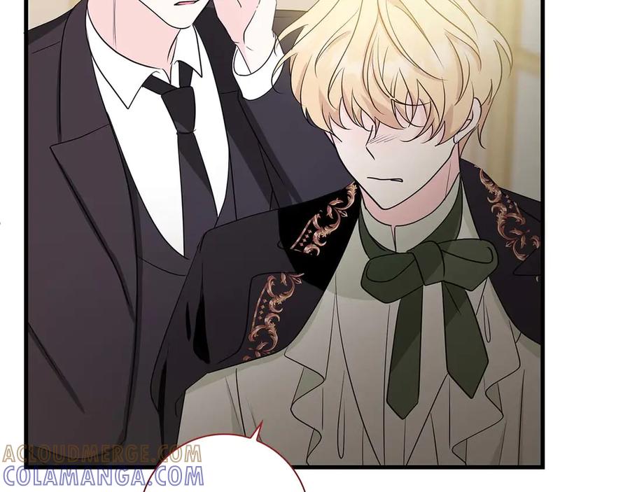 第233页