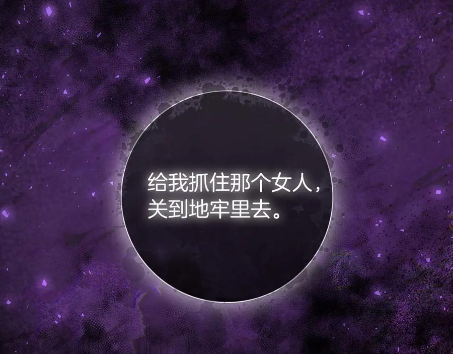 第238页
