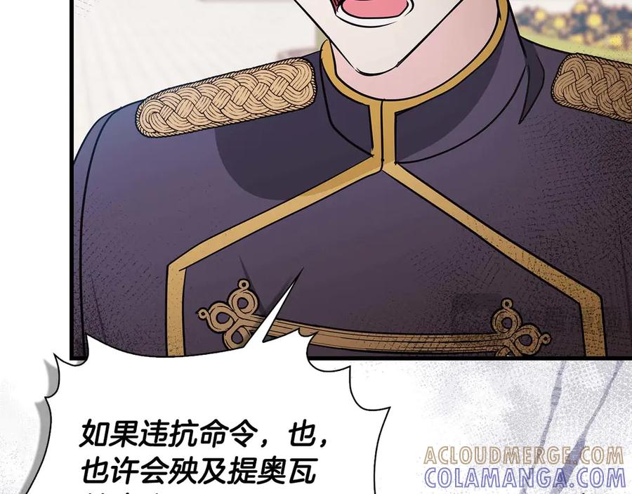 第221页