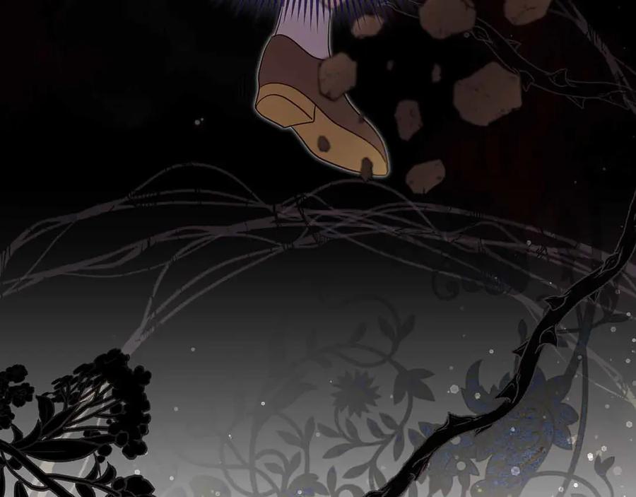 第216页