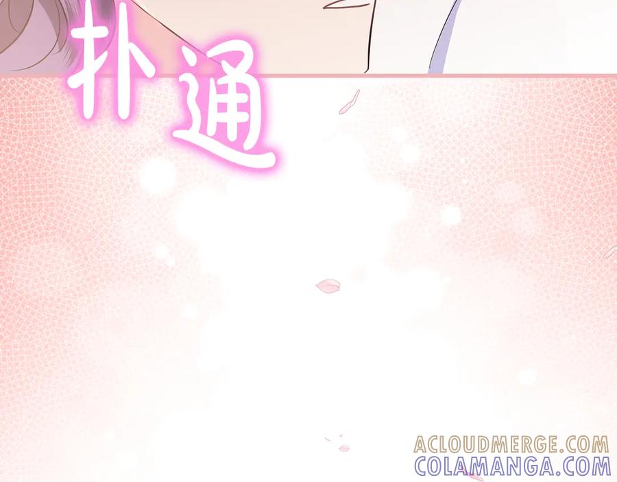 第205页