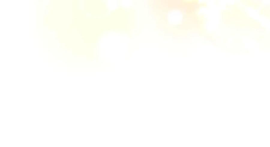 第206页