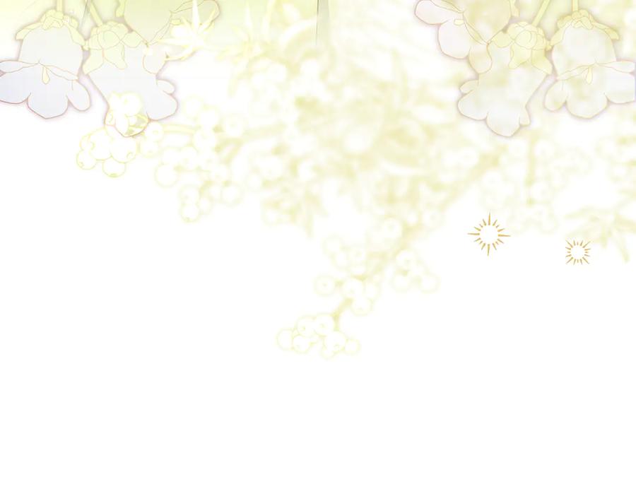 第226页