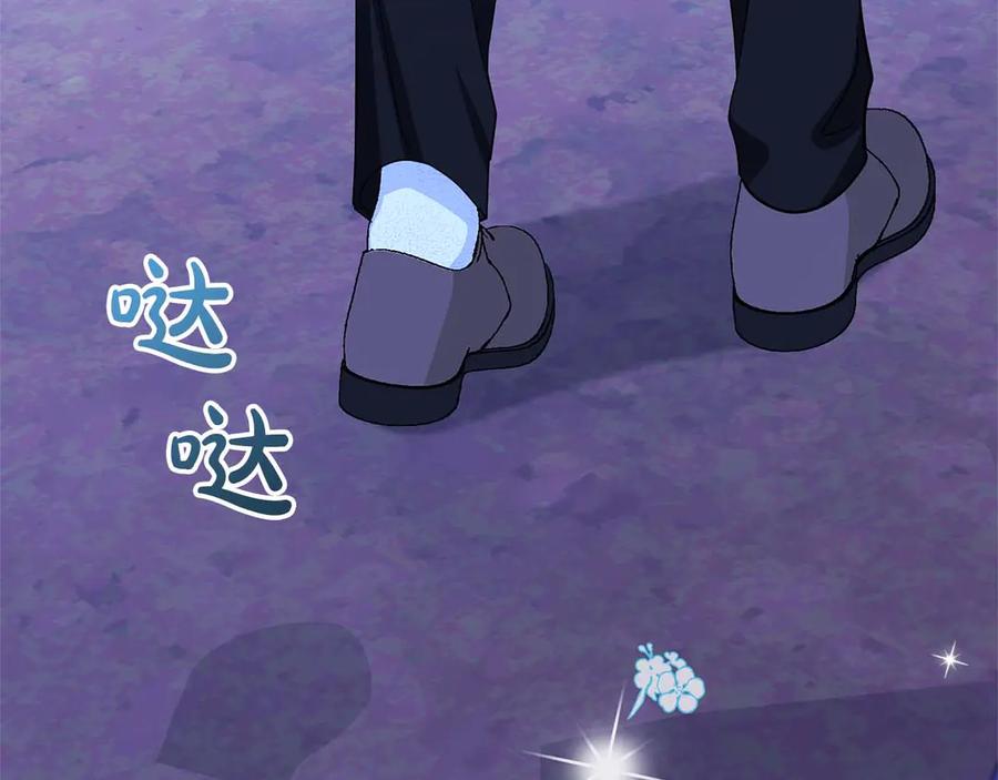 第223页