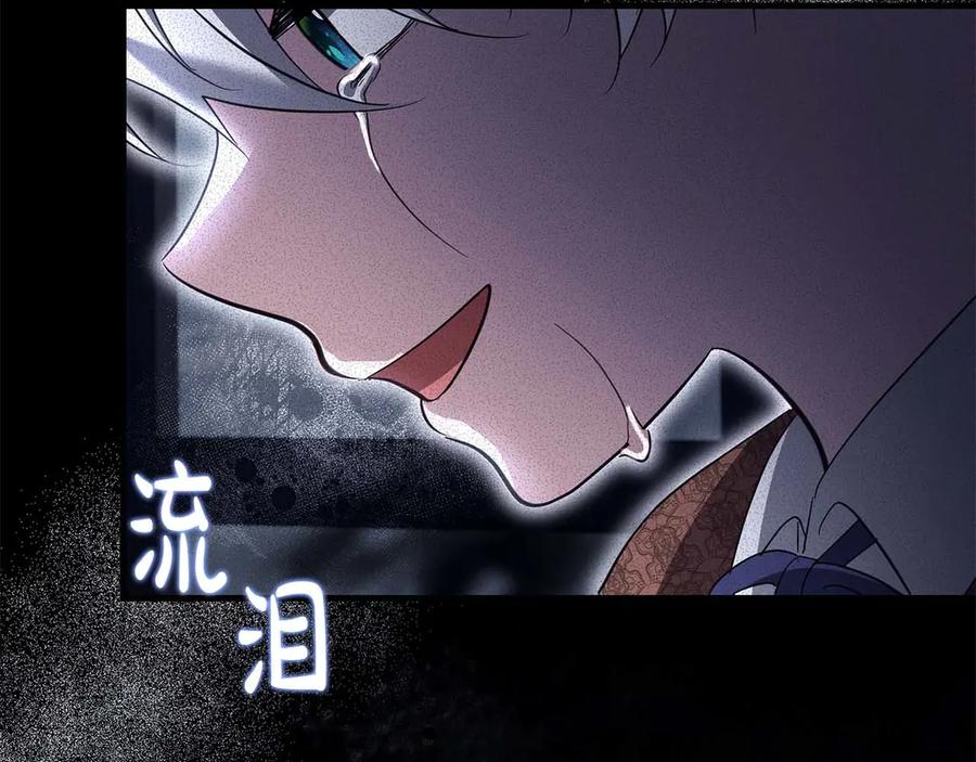 第223页