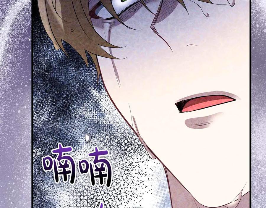 第223页