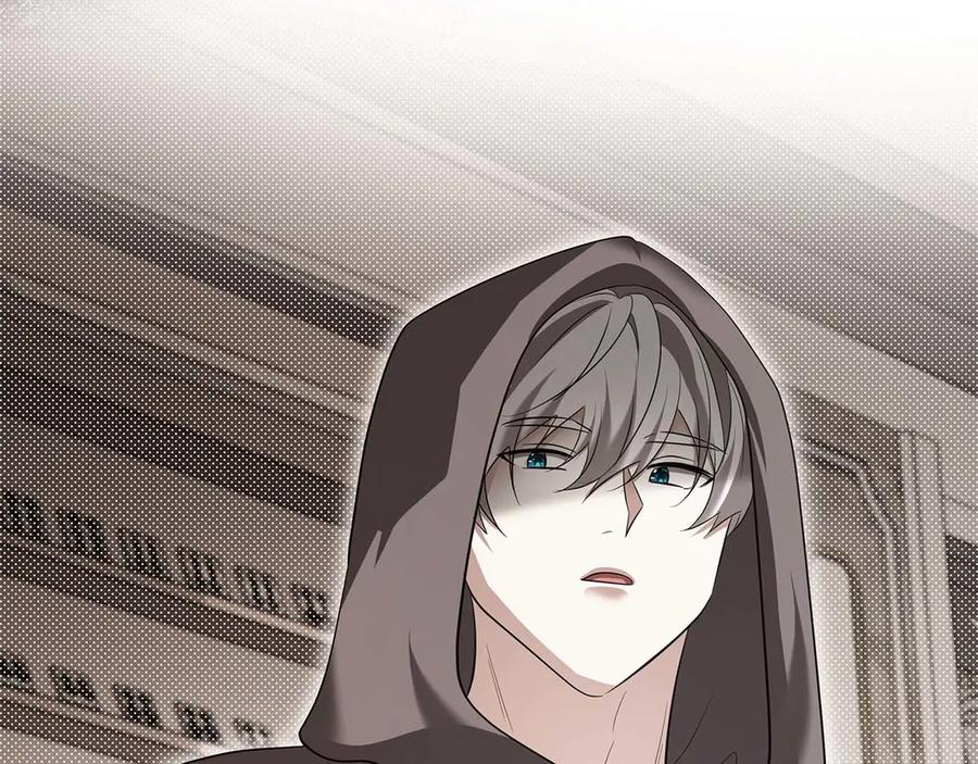 第223页