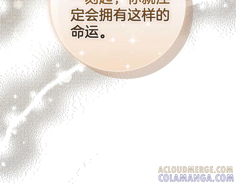第229页