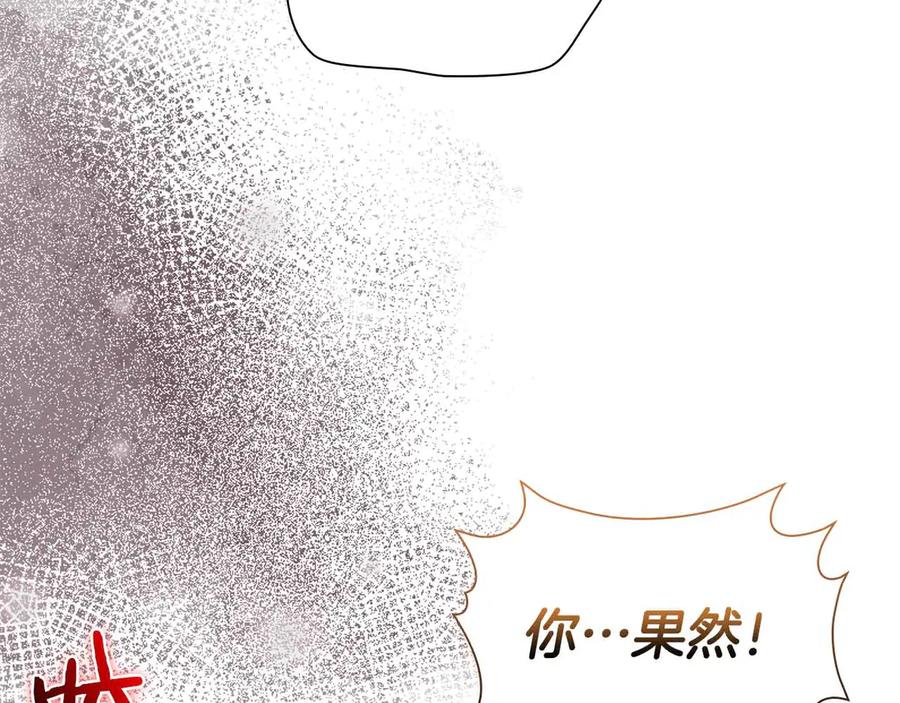 第223页