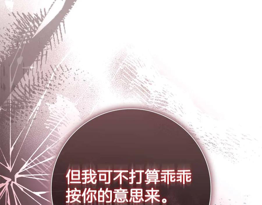 第242页
