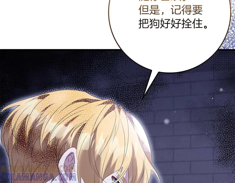 第205页