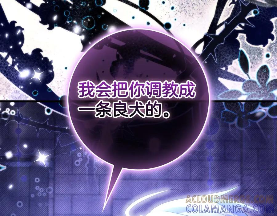 第221页