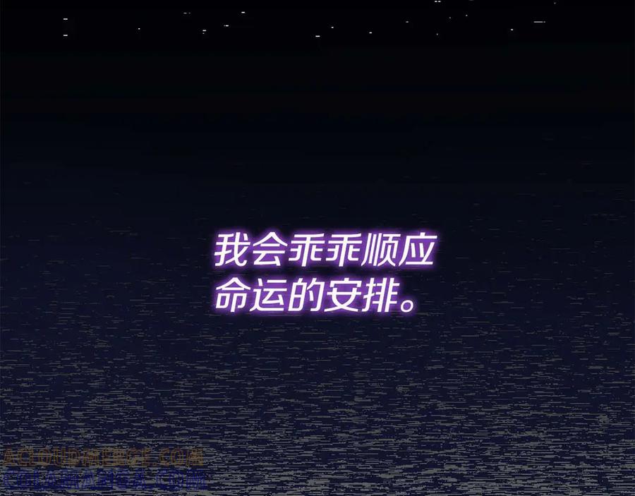 第221页