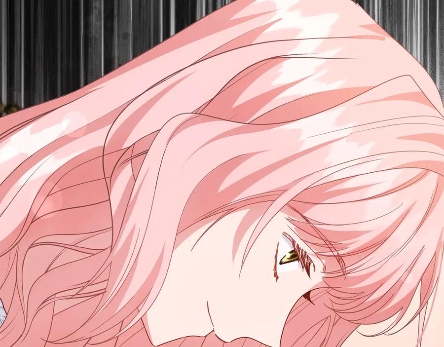 第223页