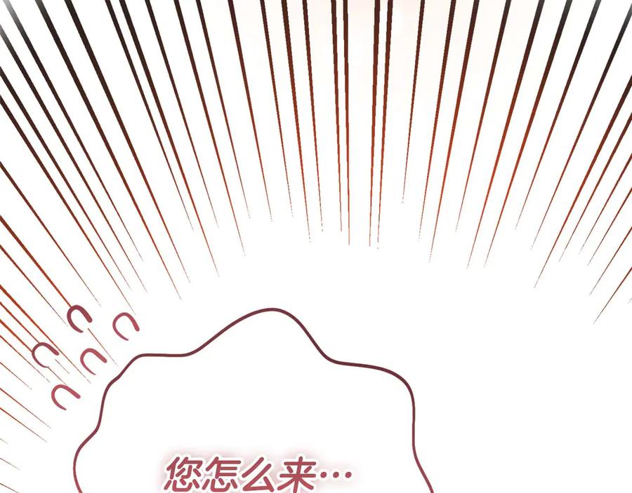 第240页
