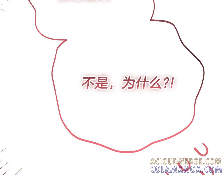 第241页