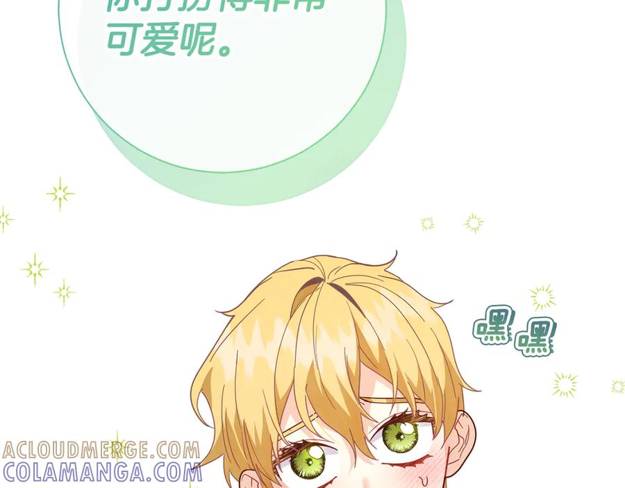 第221页