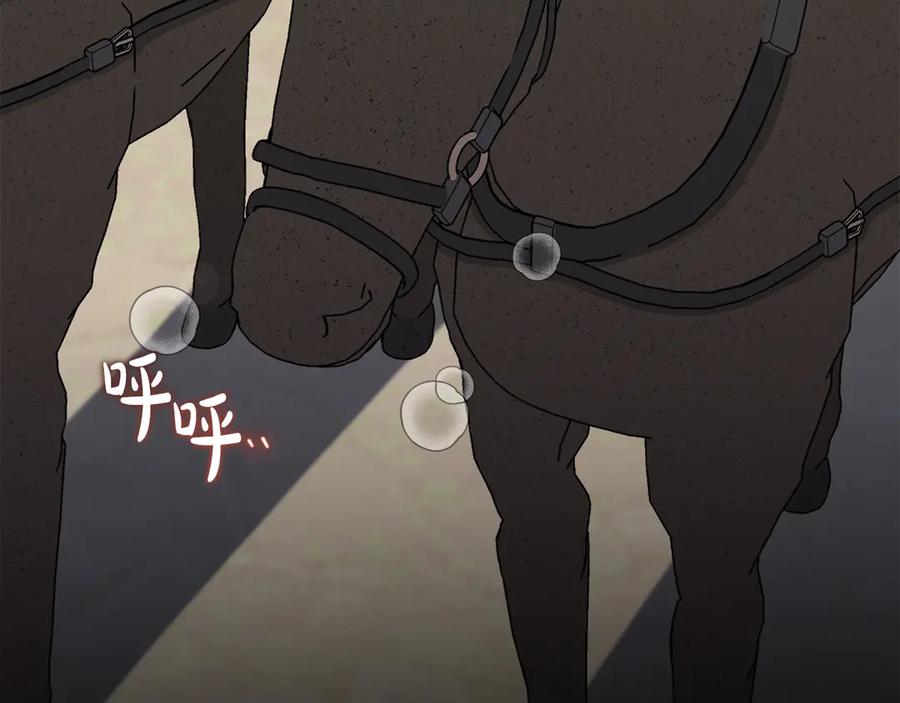 第240页