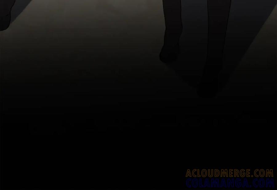 第241页