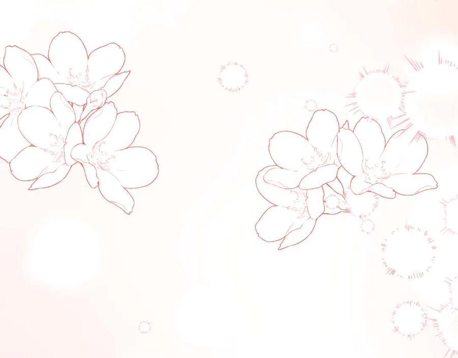 第215页