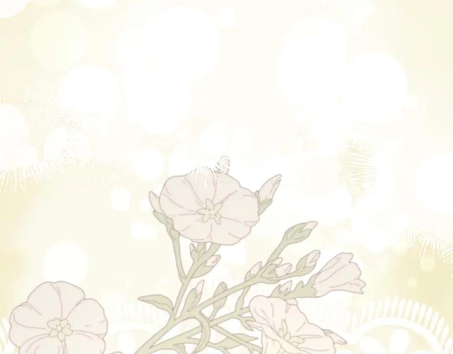 第244页