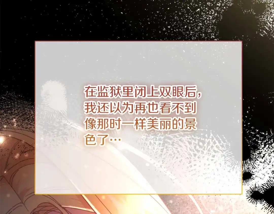 第217页