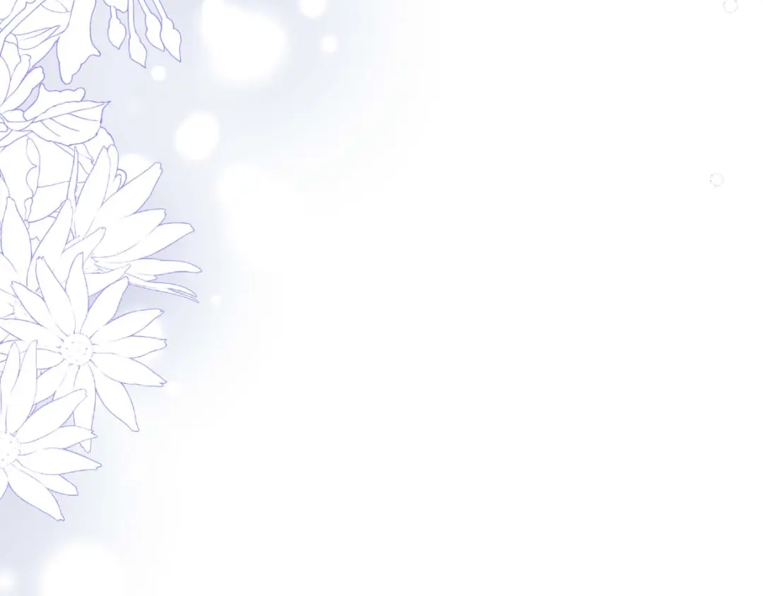 第242页